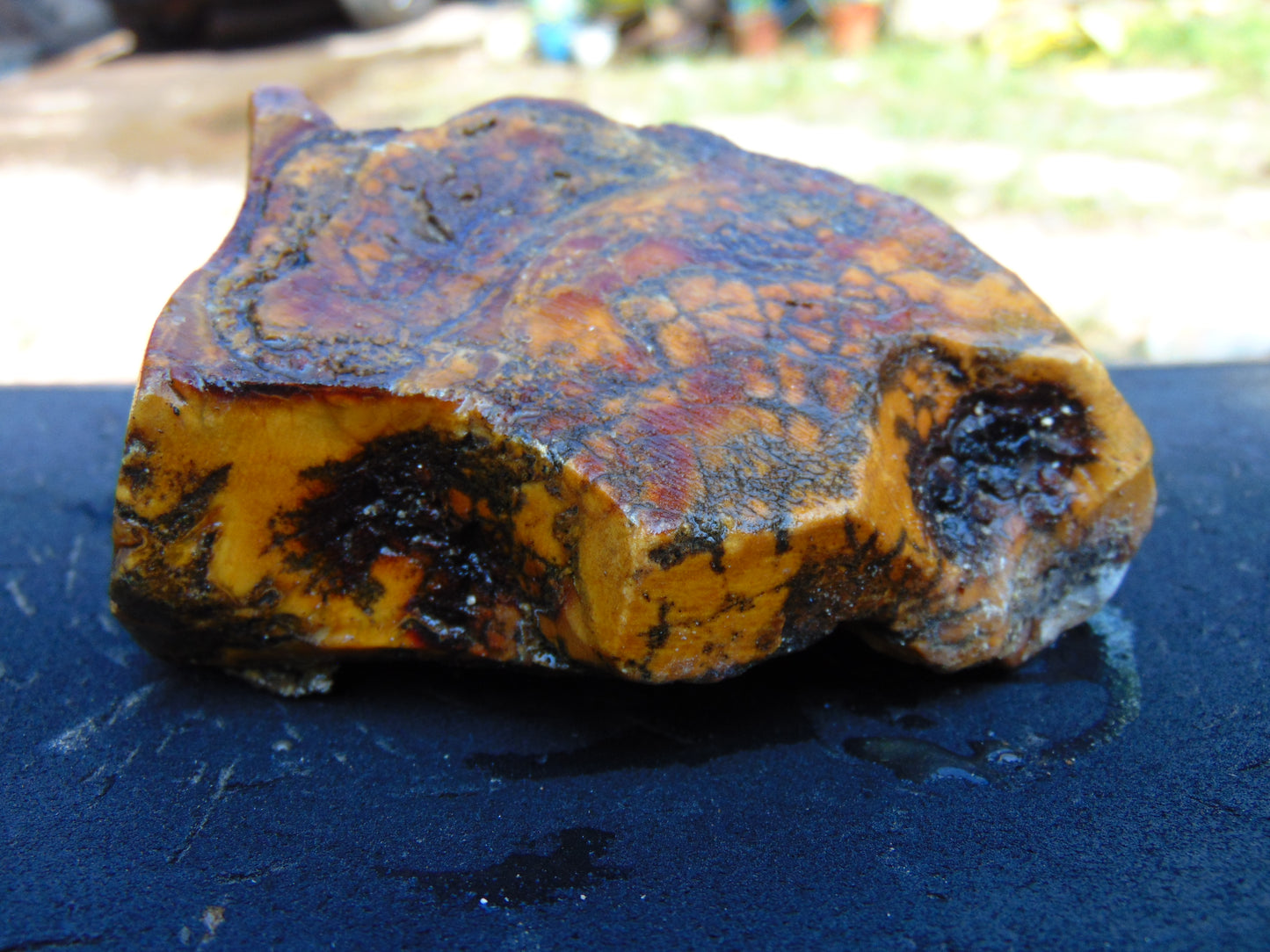 222 gram Polished Indonesia Yellow Aromatic Amber for Healing AY26M162