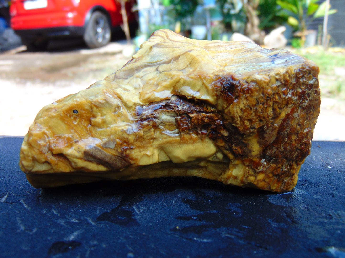 165 gram Polished Indonesia Yellow Aromatic Amber for Healing AY26M156