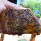 165 gram Polished Indonesia Yellow Aromatic Amber for Healing AY26M156