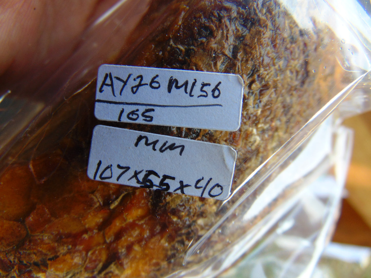 165 gram Polished Indonesia Yellow Aromatic Amber for Healing AY26M156