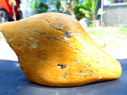 226 gram Polished Indonesia Yellow Aromatic Amber for Healing AY26M147