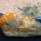 273 gram Polished Indonesia Yellow Aromatic Amber for Healing AY26M144