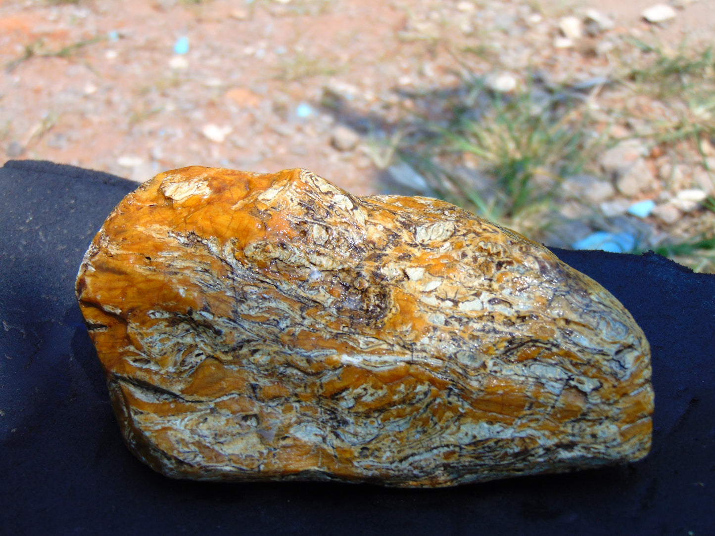 273 gram Polished Indonesia Yellow Aromatic Amber for Healing AY26M144