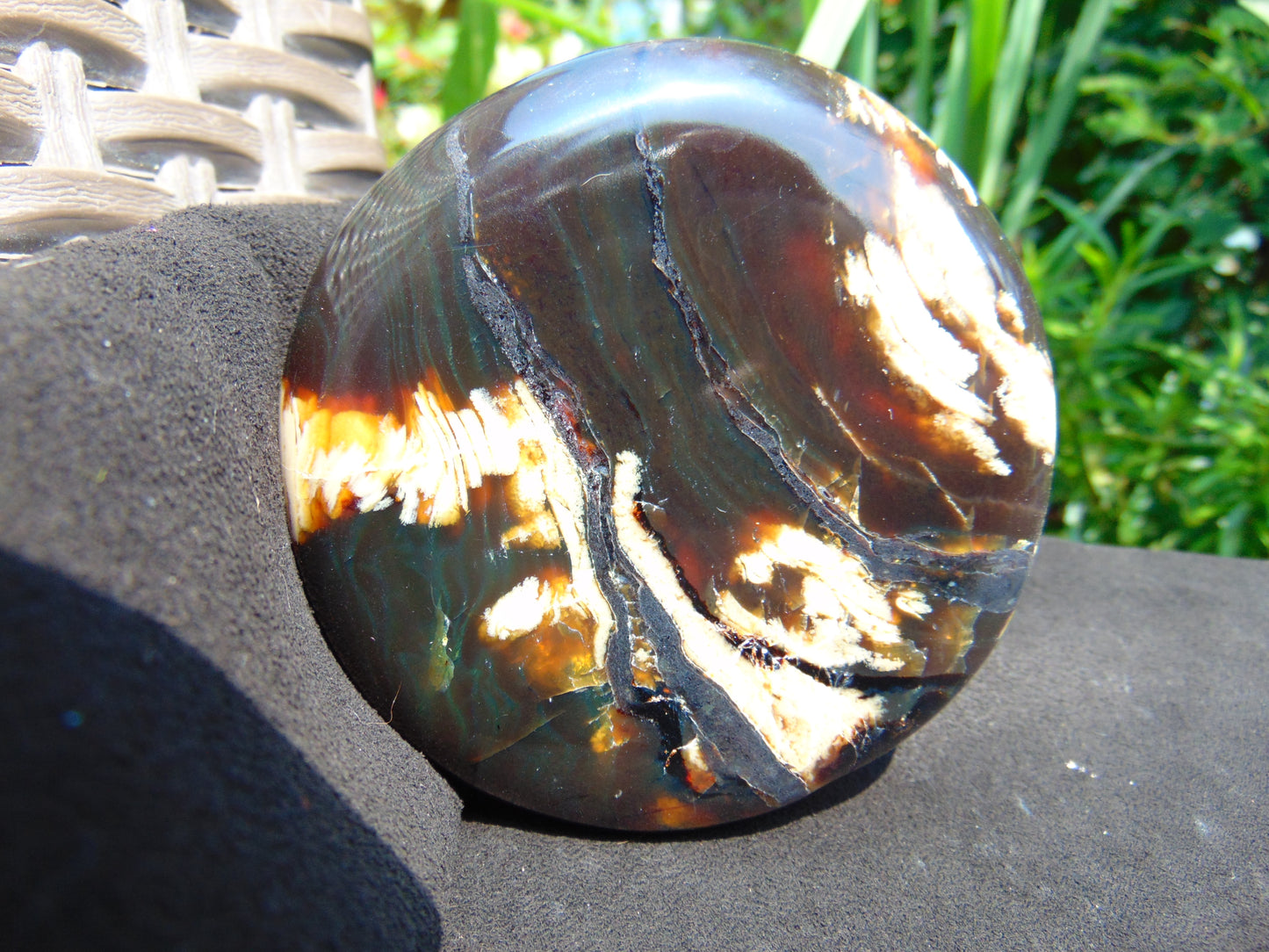 151 gram Round Flat 93x24 mm Indonesia Black White Amber for Healing ST58