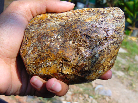 273 gram Polished Indonesia Yellow Aromatic Amber for Healing AY26M144