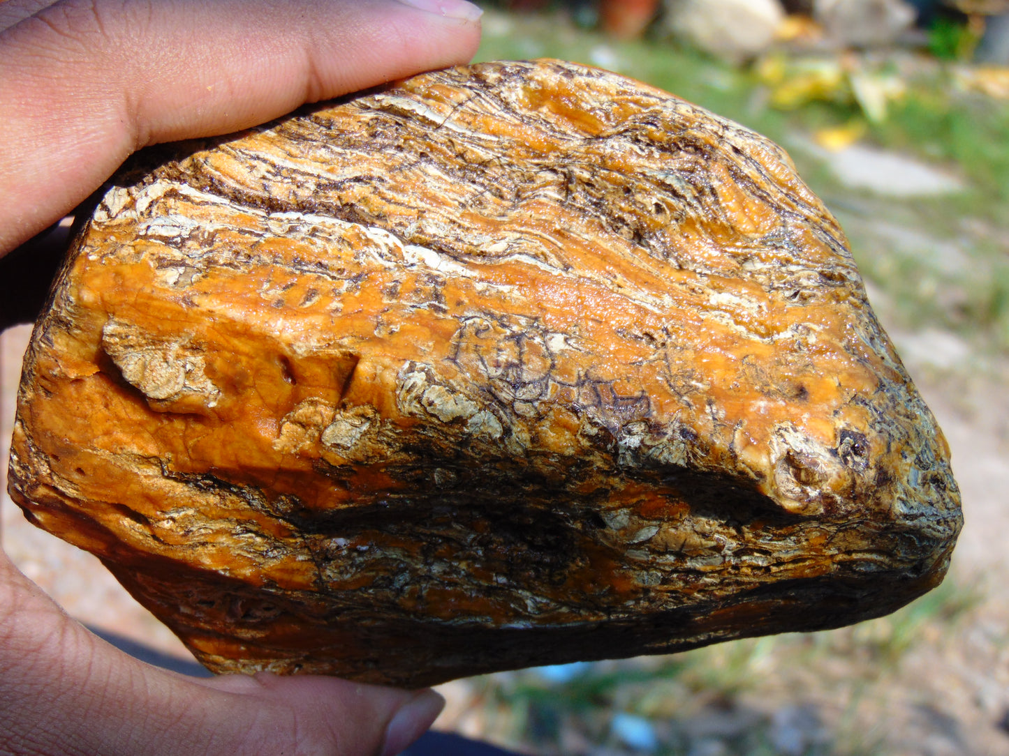 273 gram Polished Indonesia Yellow Aromatic Amber for Healing AY26M144