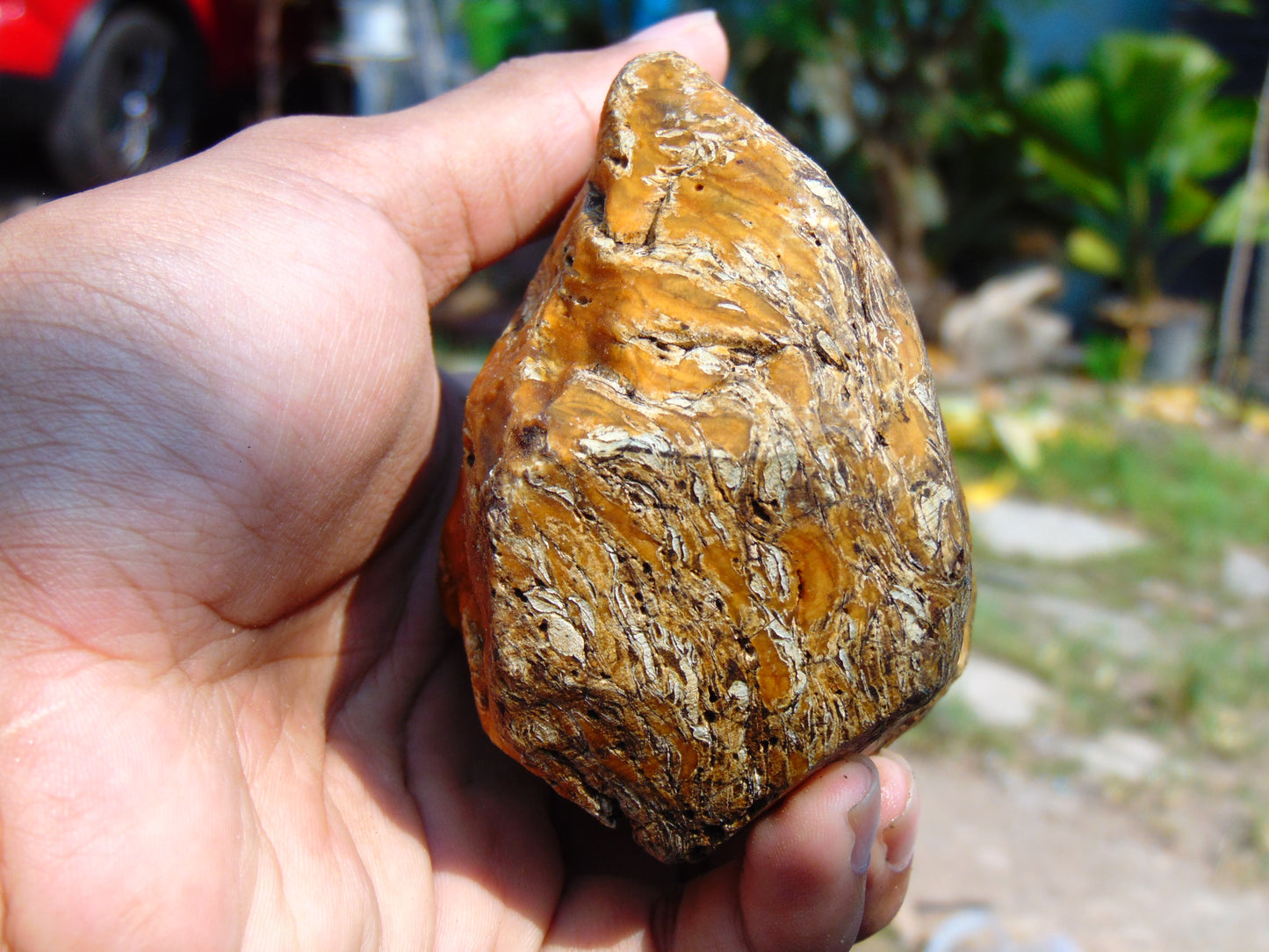 273 gram Polished Indonesia Yellow Aromatic Amber for Healing AY26M144