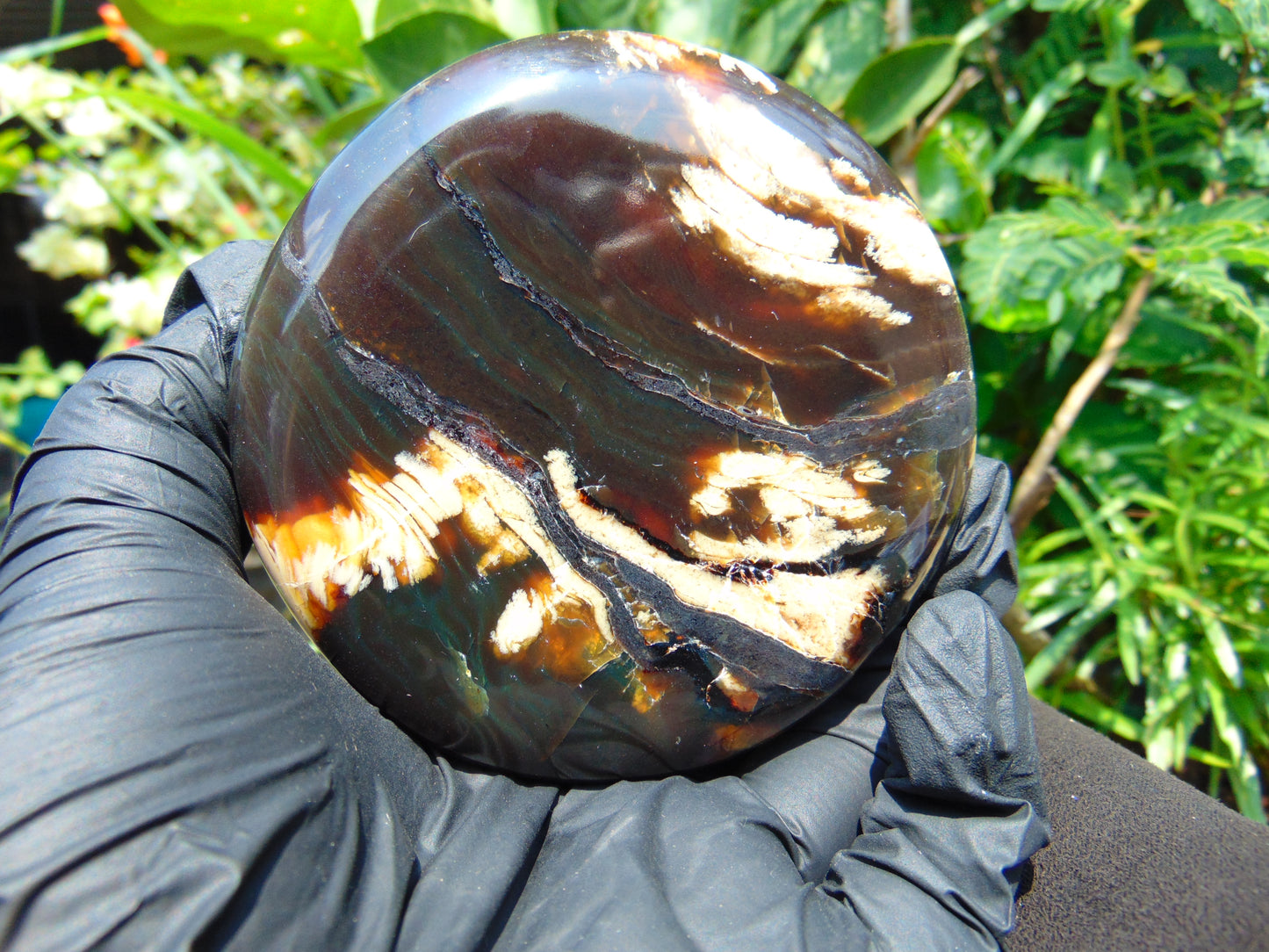 151 gram Round Flat 93x24 mm Indonesia Black White Amber for Healing ST58