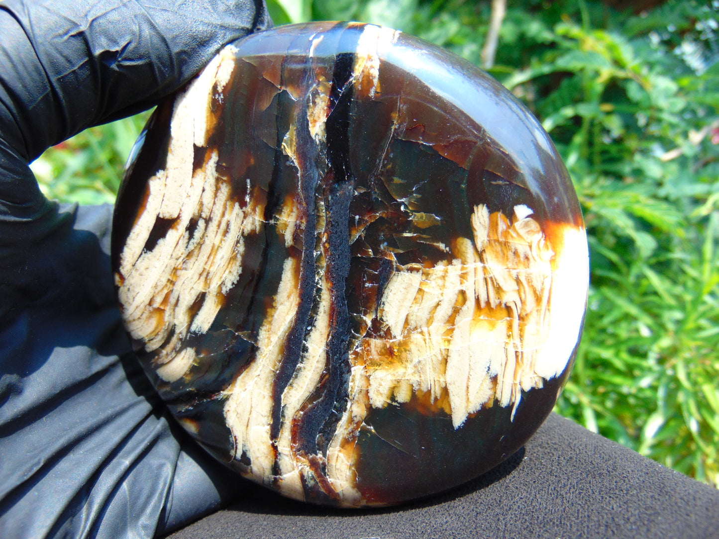 151 gram Round Flat 93x24 mm Indonesia Black White Amber for Healing ST58