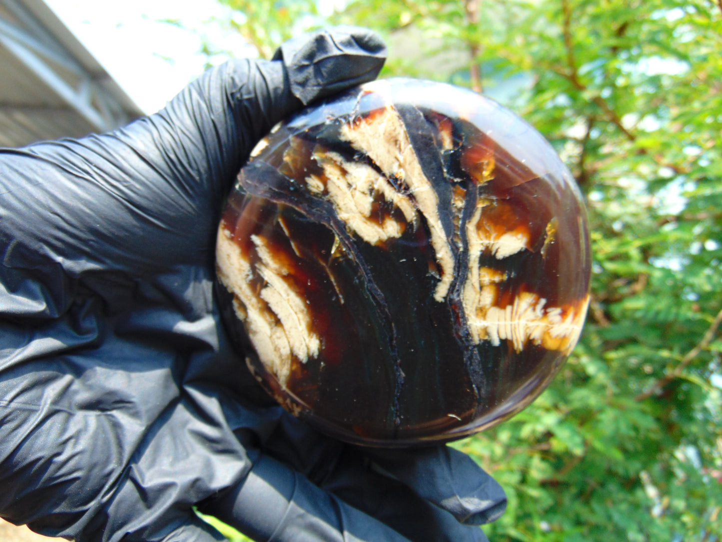 151 gram Round Flat 93x24 mm Indonesia Black White Amber for Healing ST58