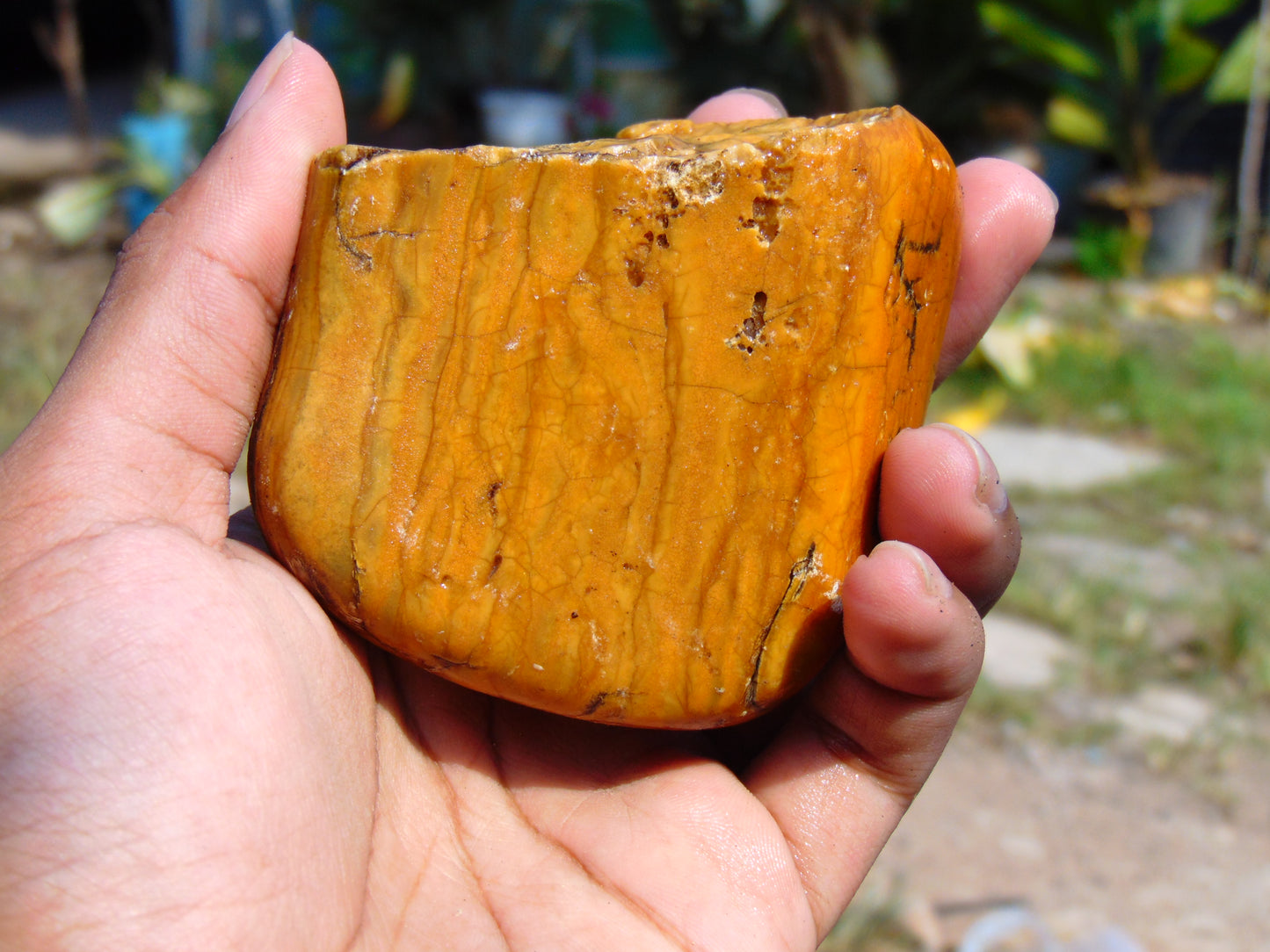 126 gram Polished Indonesia Yellow Aromatic Amber for Healing AY26M148