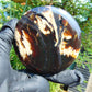 151 gram Round Flat 93x24 mm Indonesia Black White Amber for Healing ST58