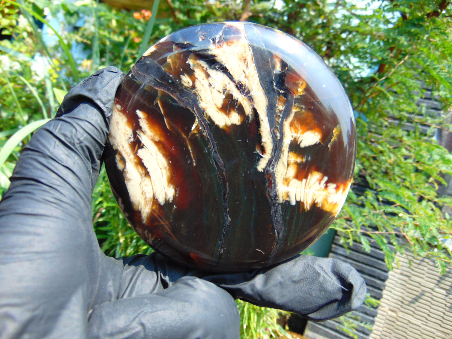 151 gram Round Flat 93x24 mm Indonesia Black White Amber for Healing ST58