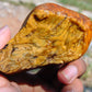 126 gram Polished Indonesia Yellow Aromatic Amber for Healing AY26M148