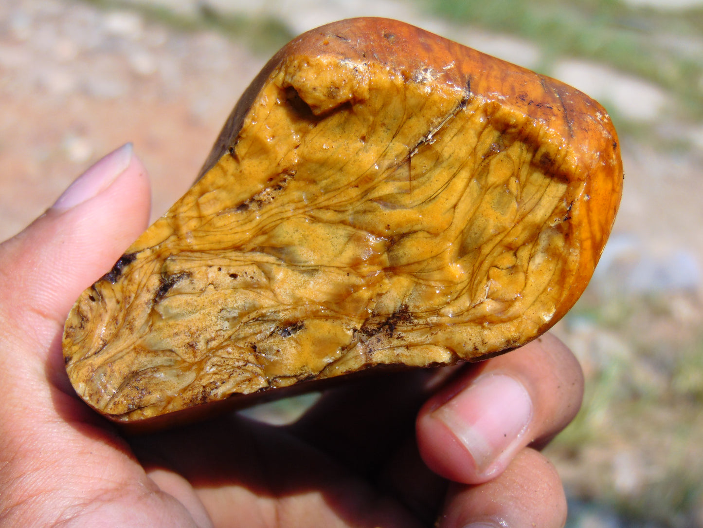 126 gram Polished Indonesia Yellow Aromatic Amber for Healing AY26M148