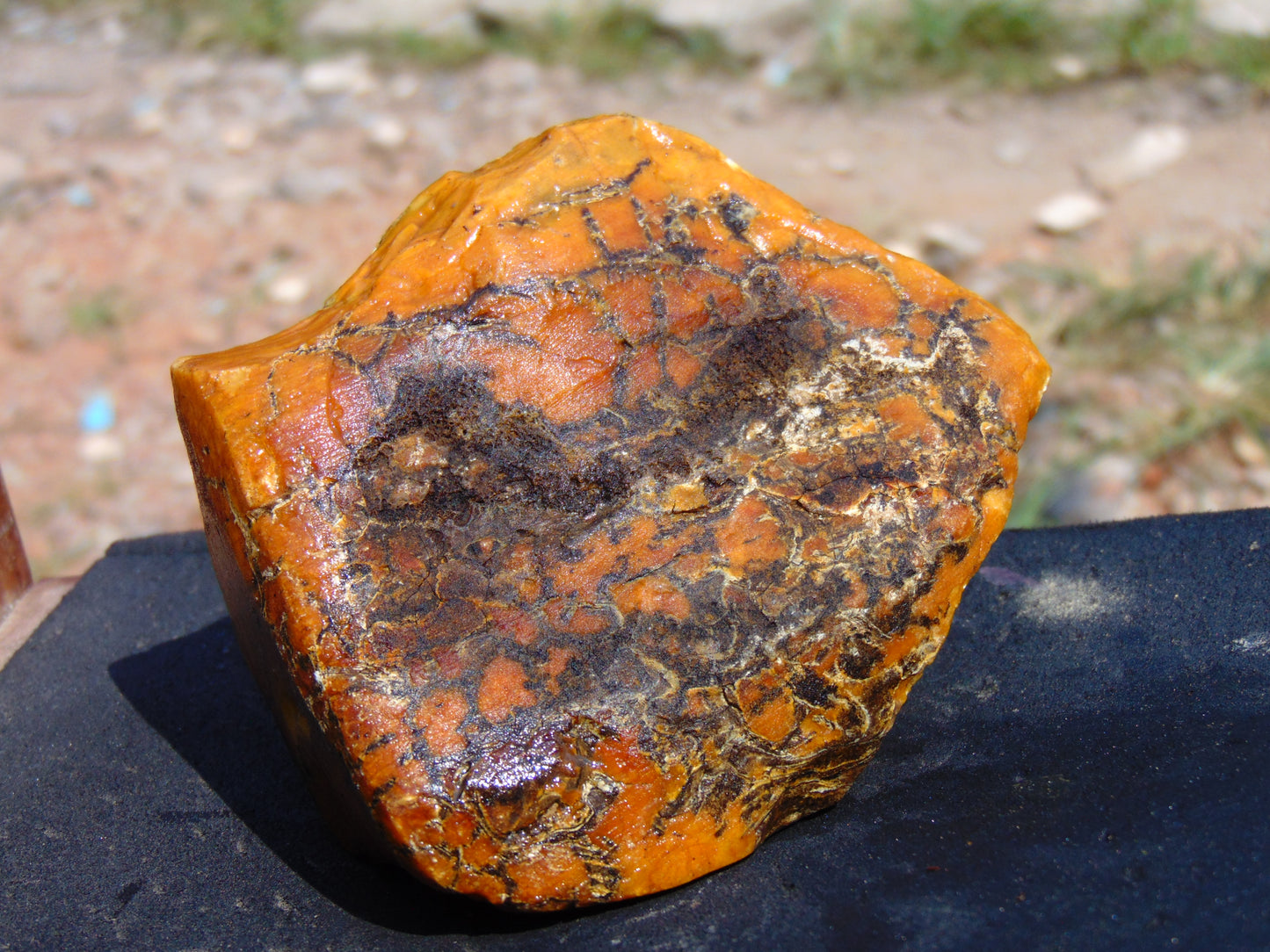 146 gram Polished Indonesia Yellow Aromatic Amber for Healing AY26M155