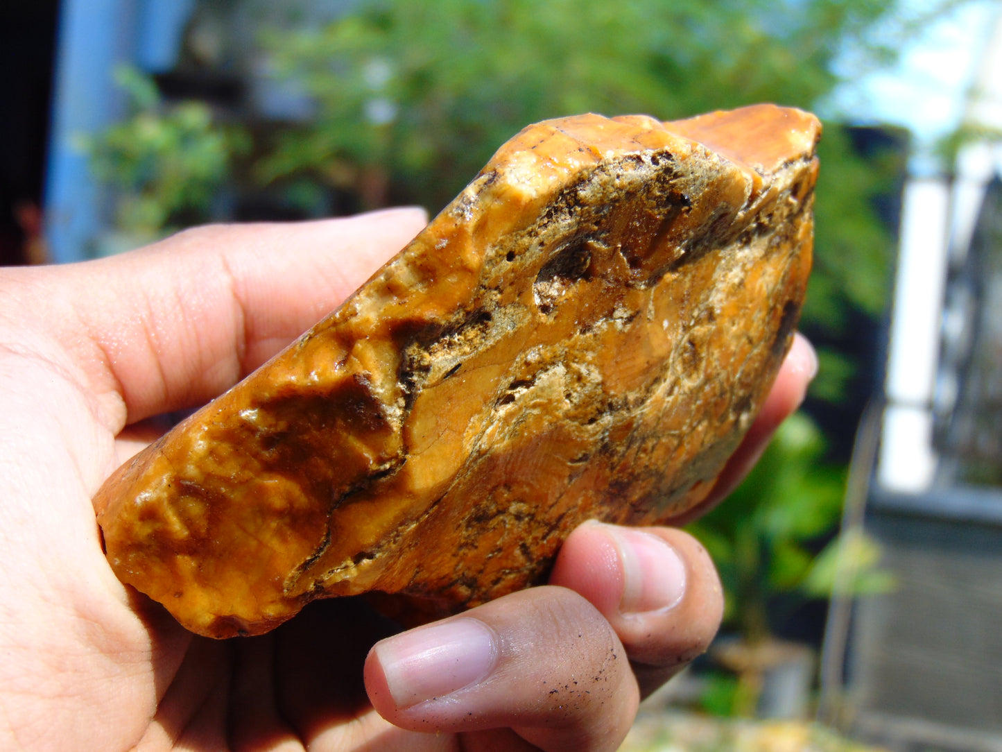 146 gram Polished Indonesia Yellow Aromatic Amber for Healing AY26M155