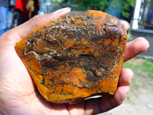 146 gram Polished Indonesia Yellow Aromatic Amber for Healing AY26M155