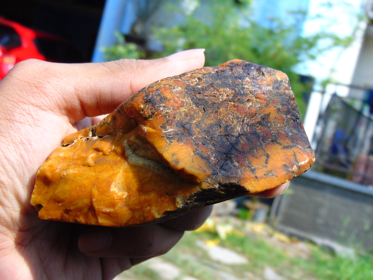 146 gram Polished Indonesia Yellow Aromatic Amber for Healing AY26M155