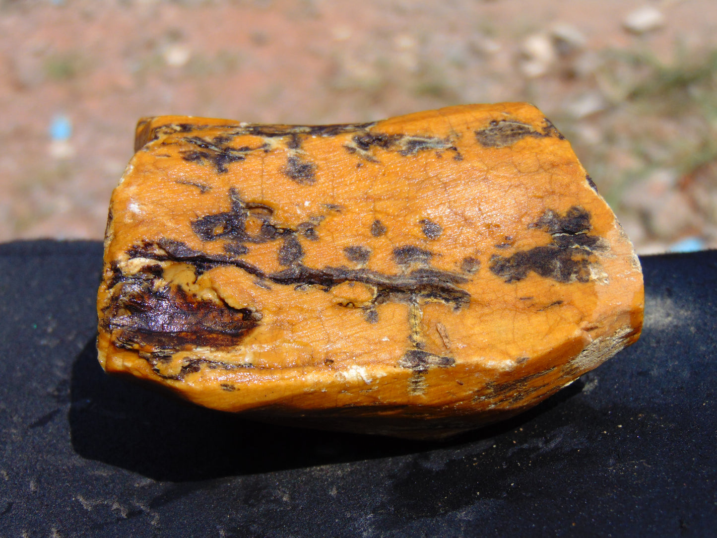 124 gram Polished Indonesia Yellow Aromatic Amber for Healing AY26M158