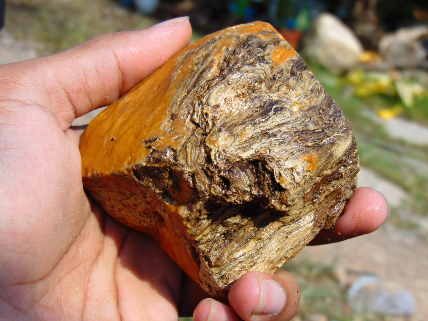 124 gram Polished Indonesia Yellow Aromatic Amber for Healing AY26M158