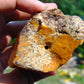124 gram Polished Indonesia Yellow Aromatic Amber for Healing AY26M158