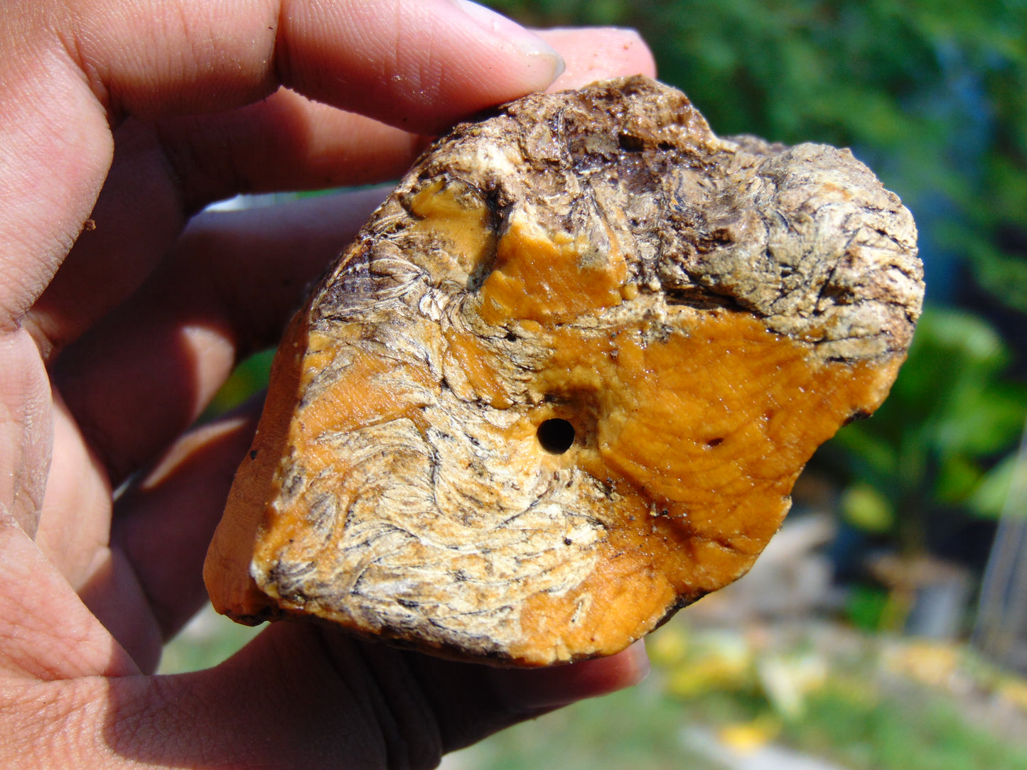 124 gram Polished Indonesia Yellow Aromatic Amber for Healing AY26M158