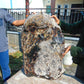 46100 Gr Big Amber Indonesia Crsytal Blue Green for Healing