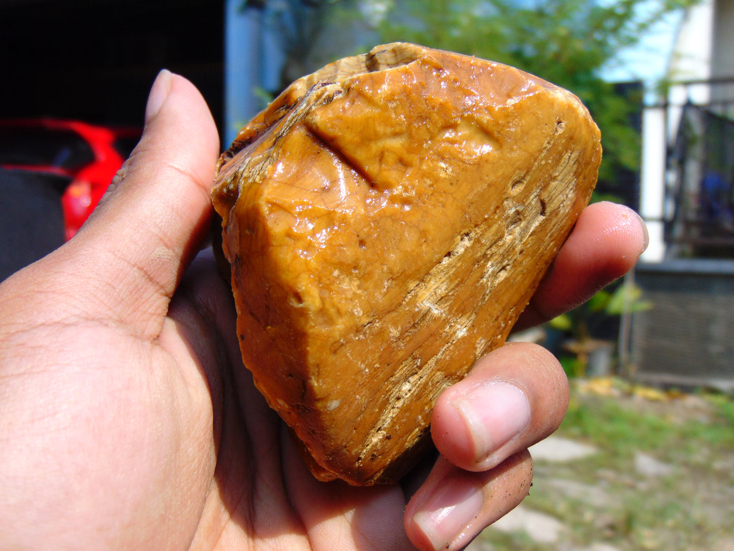 119 gram Polished Indonesia Yellow Aromatic Amber for Healing AY26M163