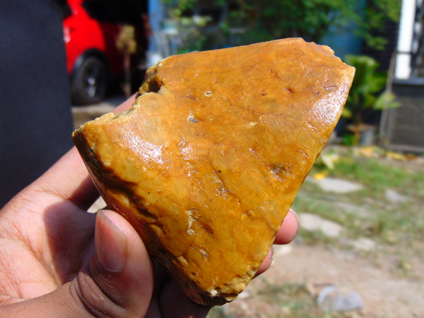 119 gram Polished Indonesia Yellow Aromatic Amber for Healing AY26M163