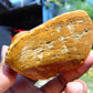 119 gram Polished Indonesia Yellow Aromatic Amber for Healing AY26M163