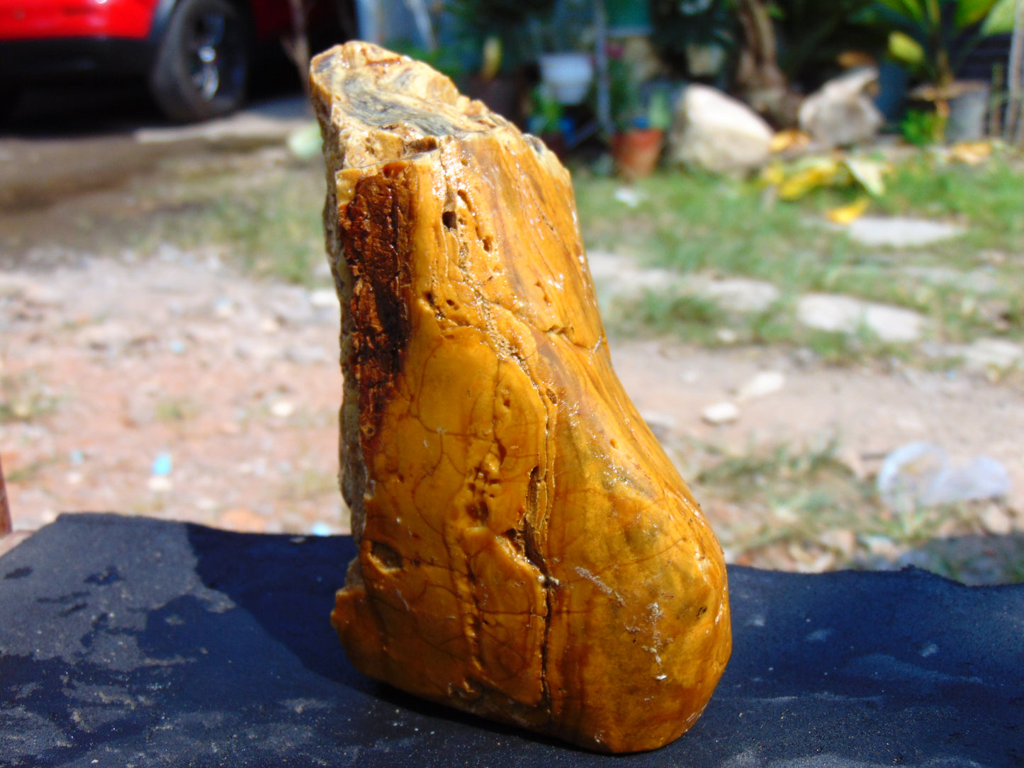315 gram Polished Indonesia Yellow Aromatic Amber for Healing AY26M150