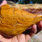 315 gram Polished Indonesia Yellow Aromatic Amber for Healing AY26M150