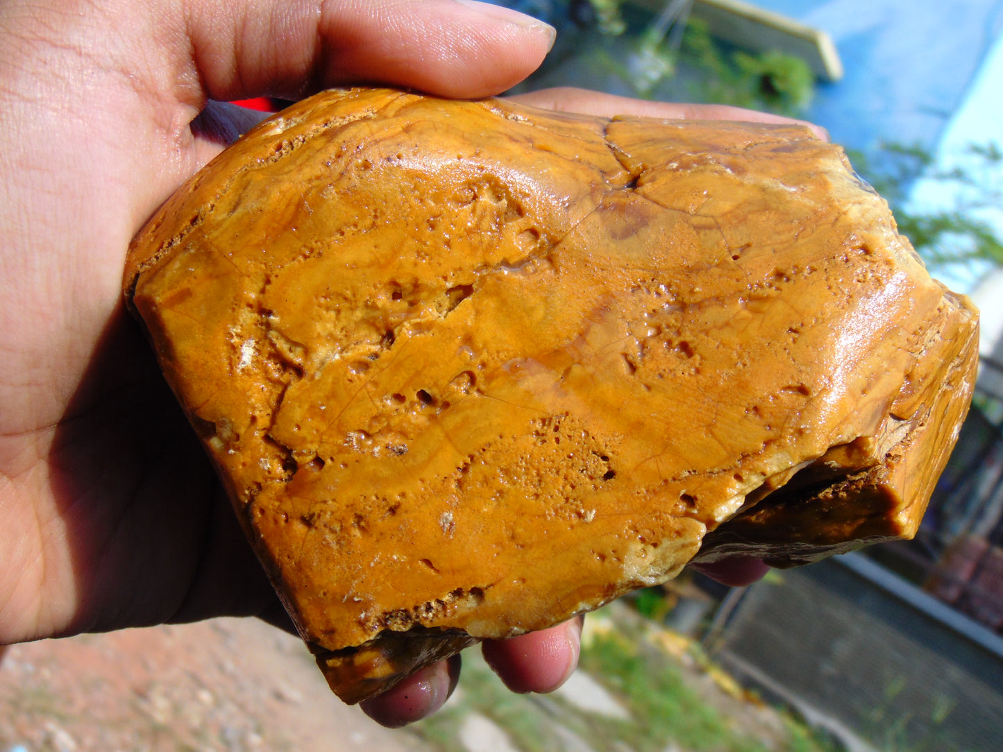 315 gram Polished Indonesia Yellow Aromatic Amber for Healing AY26M150