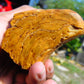 315 gram Polished Indonesia Yellow Aromatic Amber for Healing AY26M150