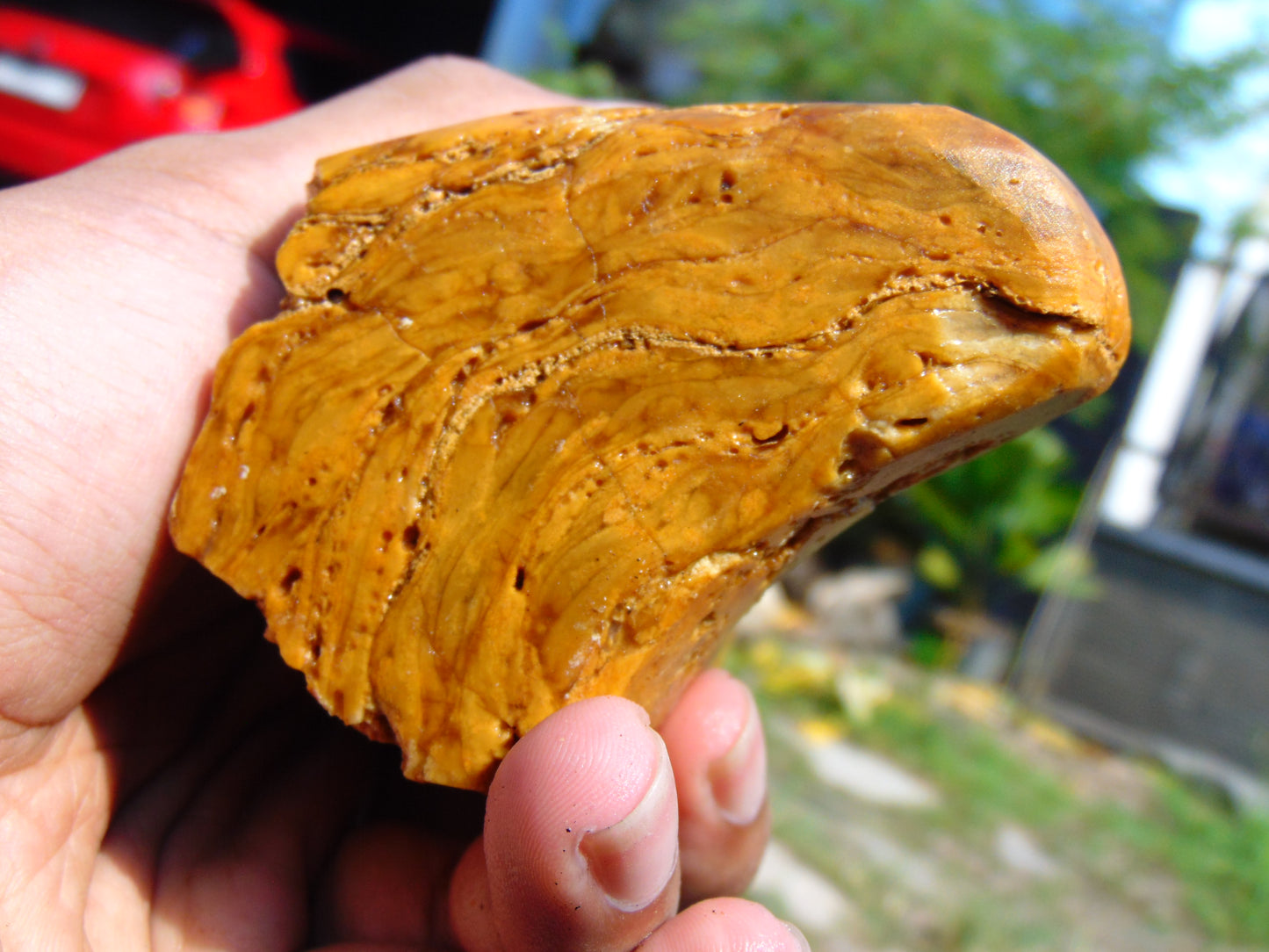 315 gram Polished Indonesia Yellow Aromatic Amber for Healing AY26M150