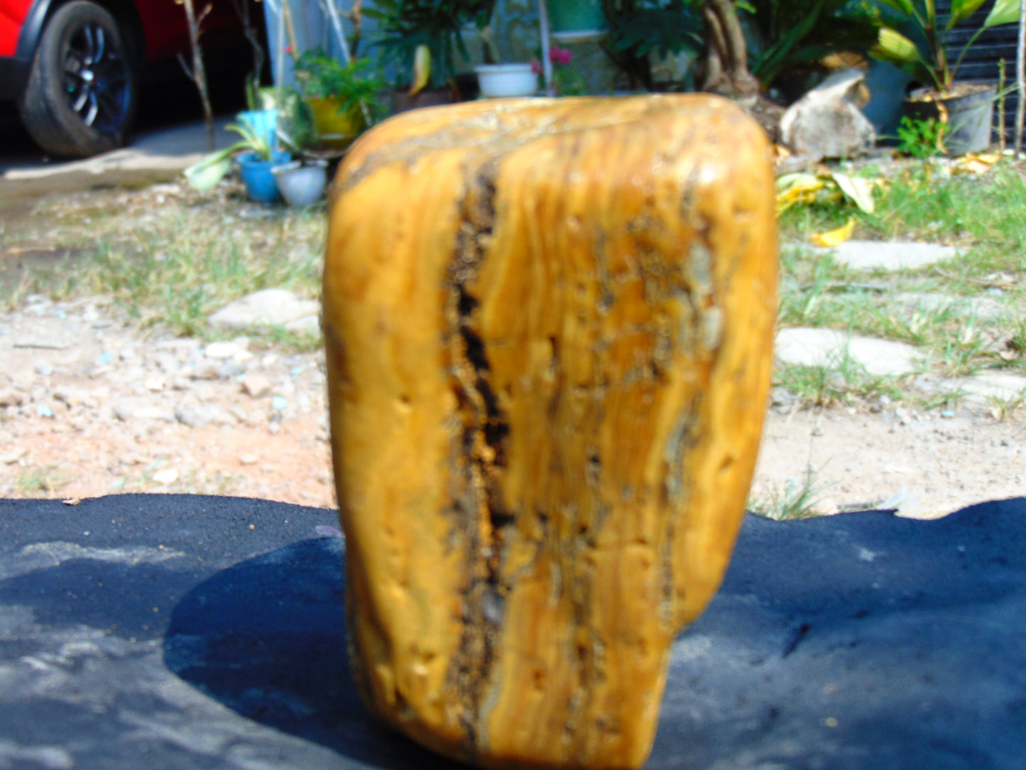 290 gram Polished Indonesia Yellow Aromatic Amber for Healing AY26M157