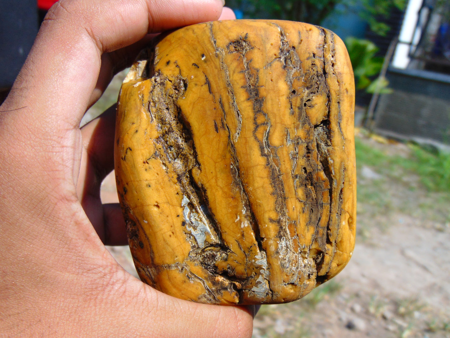 290 gram Polished Indonesia Yellow Aromatic Amber for Healing AY26M157