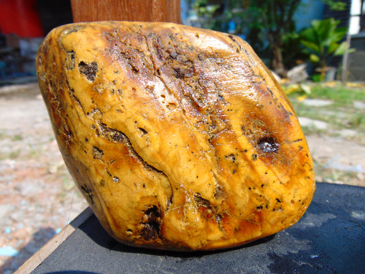 273 gram Polished Indonesia Yellow Aromatic Amber for Healing AY26M154