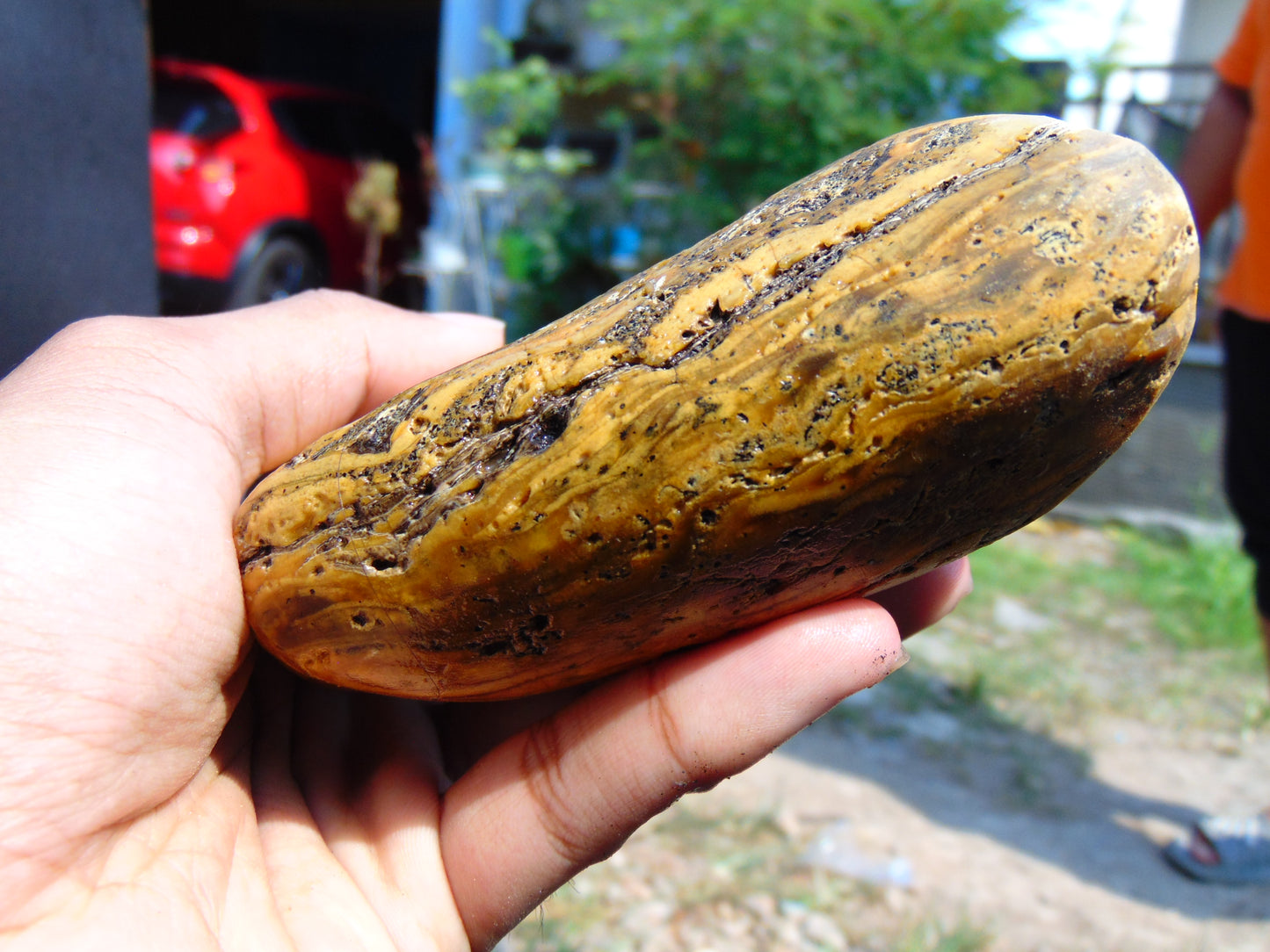 273 gram Polished Indonesia Yellow Aromatic Amber for Healing AY26M154