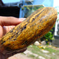 273 gram Polished Indonesia Yellow Aromatic Amber for Healing AY26M154