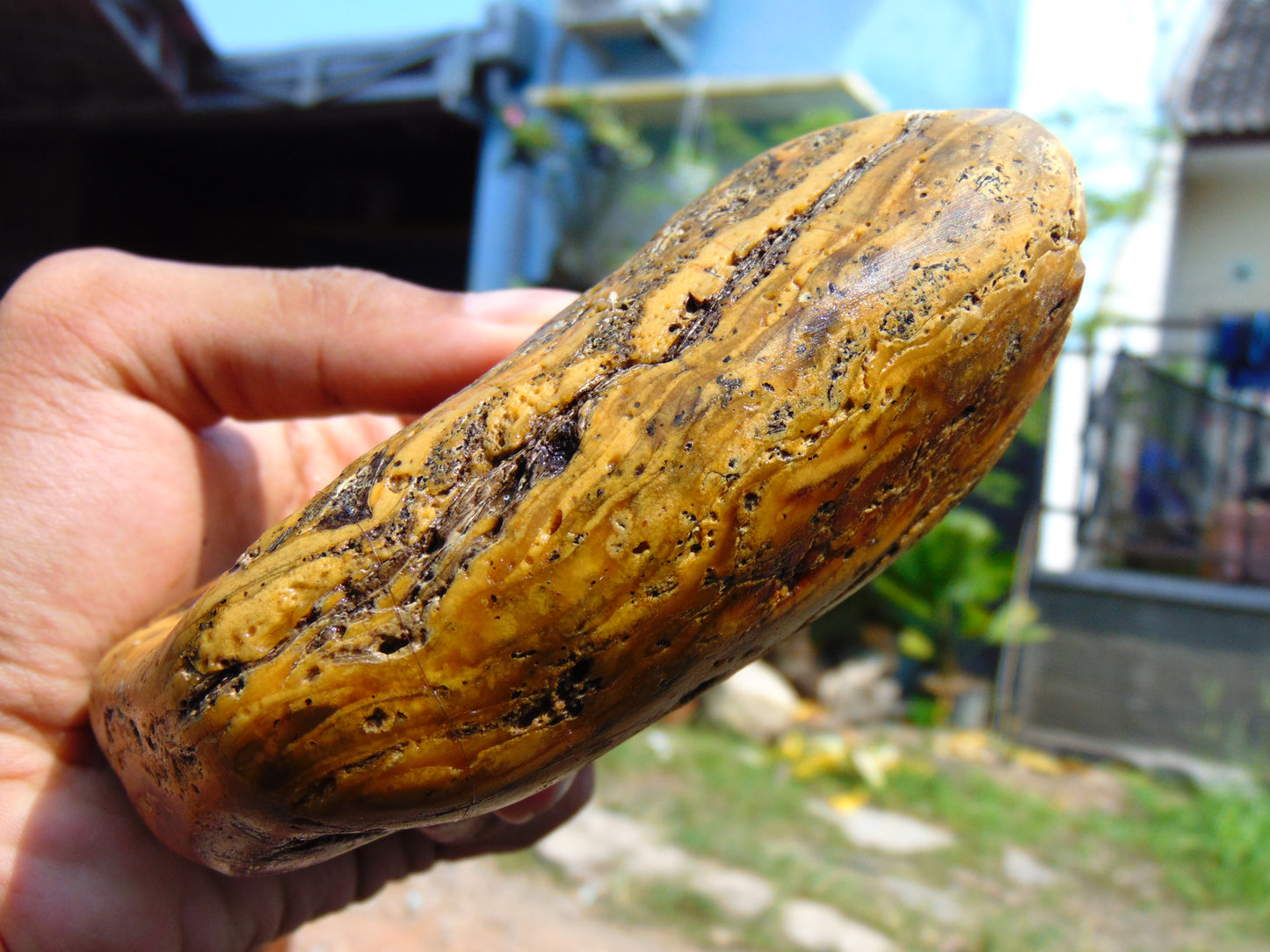 273 gram Polished Indonesia Yellow Aromatic Amber for Healing AY26M154