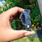 32 gram Rough Raw Indonesian Blue Amber for Healing AGRB136