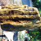 5260 gram Polished Indonesia Yellow Aromatic Amber for Healing AY26M164