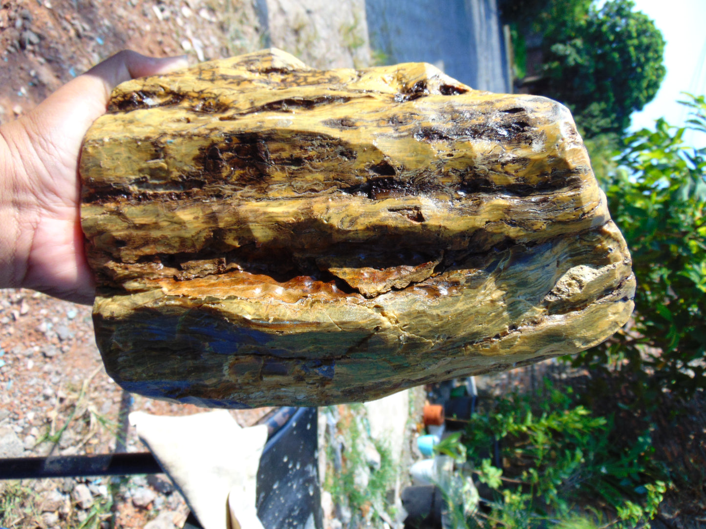 5260 gram Polished Indonesia Yellow Aromatic Amber for Healing AY26M164