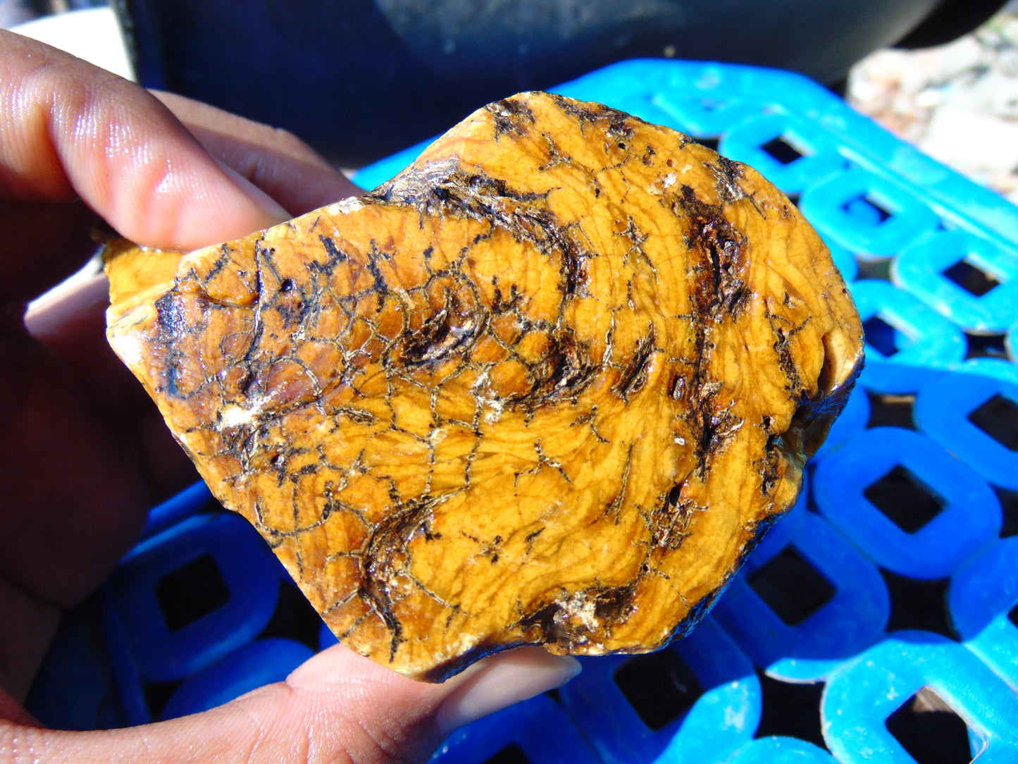 237 gram Polished Indonesia Yellow Aromatic Amber for Healing AY26M134