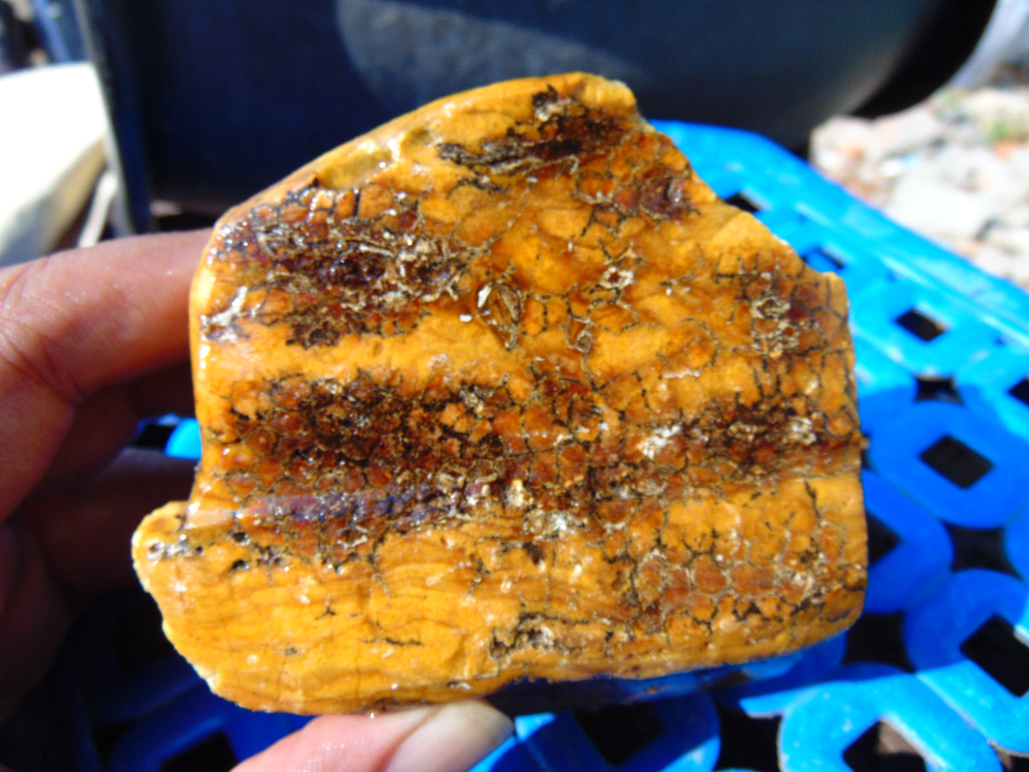 237 gram Polished Indonesia Yellow Aromatic Amber for Healing AY26M134