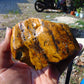 237 gram Polished Indonesia Yellow Aromatic Amber for Healing AY26M134