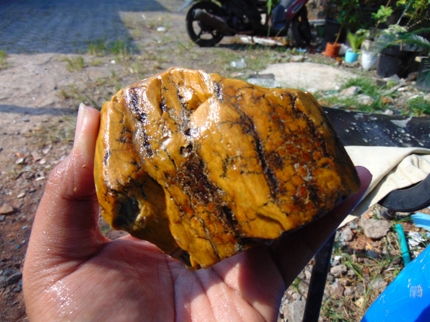 237 gram Polished Indonesia Yellow Aromatic Amber for Healing AY26M134