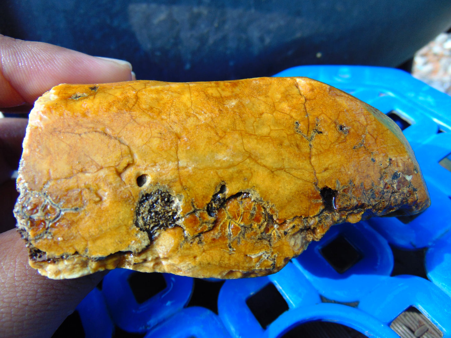 171 gram Polished Indonesia Yellow Aromatic Amber for Healing AY26M152